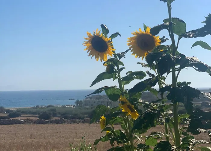 Marikos House, Pyrgaki Alyko Naxos *